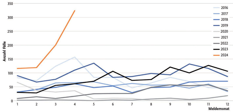 Abb. 1  Monatliche Denguefieber-Fallzahlen 2016-2024 (die Pandemiejahre sind in grau gehalten, die 5 relevanten Vorjahre (5RV) 2016-2019 und 2023 in Blautönen)