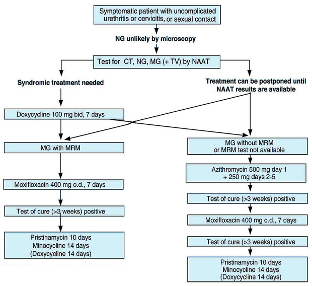 2021 European guideline on the management of Mycoplasma genitalium infections