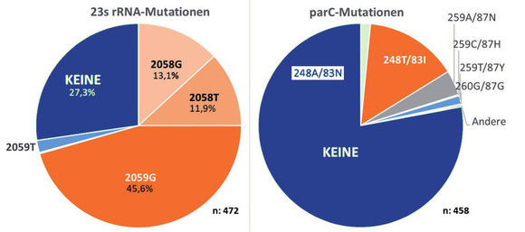 Abb. 2  Links: Makrolid-Resistenz; rechts: Chinolon-Resistenz